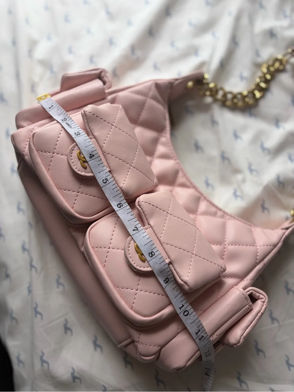 CC Pocket Hobo Blush Pink Shoulder Bag